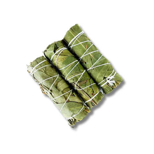 Eucalyptus Herb Wand