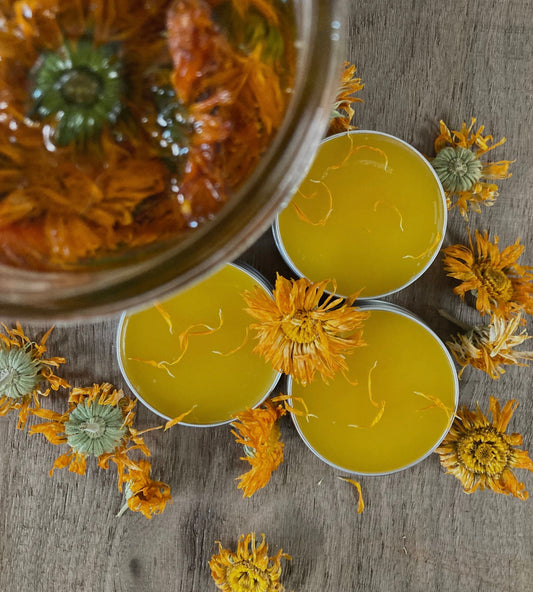 All Purpose Calendula Salve